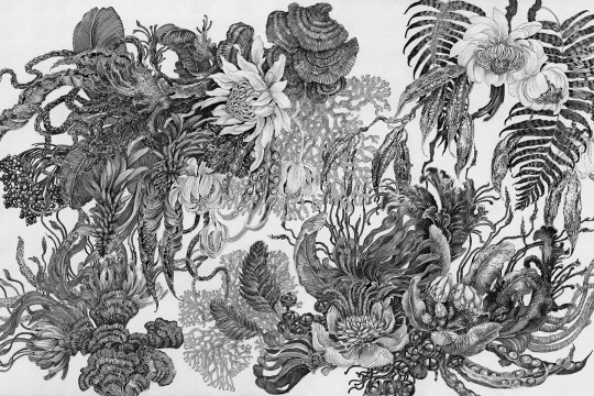 Lorenso TPA 0924 0107 03 Botanica - mural w egzotyczne rośliny