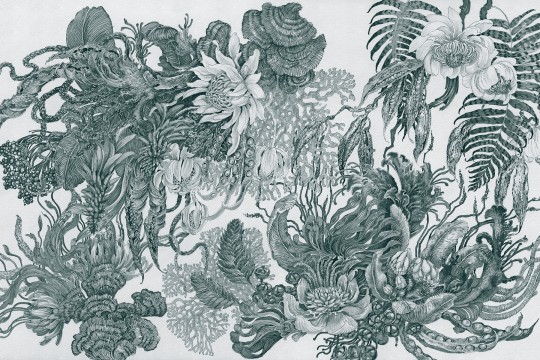 Lorenso TPA 0924 0107 06 Botanica - mural w egzotyczne rośliny