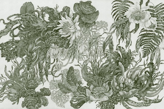 Lorenso TPA 0924 0107 07 Botanica - mural w egzotyczne rośliny