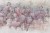d371cf98ddf10bff47a295bccdec19d1