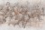 124fc17a874dfa79a20f494d135c1818