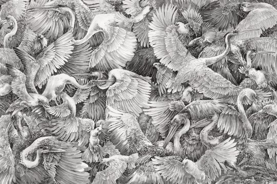 Lorenso TPA 0224 0064 02 Paravis - mural w ptaki