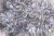 18a4113d03e7cf8ad73eaa25d6b98165