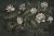 df5261792d35ec46a57a0b1d942b7958