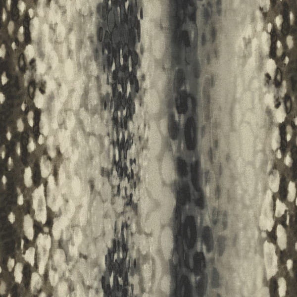 c1bb21b1267cdc891481d019b0d4a137
