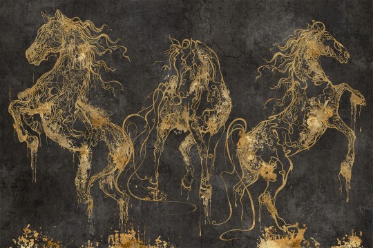 Lorenso TPA 0524 0083 01 Cavallo - mural w złote konie