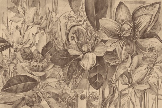 Lorenso TPA 0324 0080 04 Blush - mural w duże kwiaty