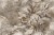 a510dfb13d37e81af664c61adec926d3