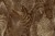7ae1bc801adefd1914fab60635c04af1