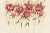 4a299e64a6f129be946dc28ddb05c539
