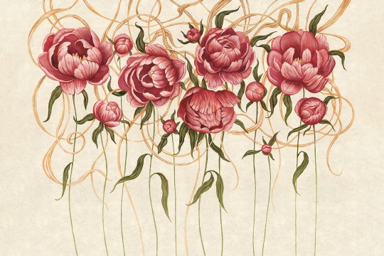 Lorenso TPA 0124 0050 00 Pions - mural w piwonie