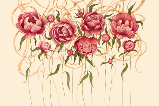 Lorenso TPA 0124 0050 01 Pions - mural w piwonie