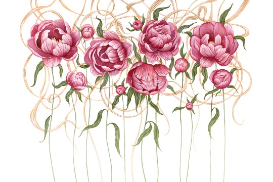 Lorenso TPA 0124 0050 02 Pions - mural w piwonie