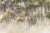 6c009bc223a52bf2e14c072fac7b9af6