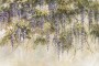 6c009bc223a52bf2e14c072fac7b9af6