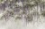 14f0338e327ccf46054a93e9c2fea70c