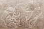 c9294fed1c918191b33d33411bc11114