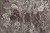 463154552a49809db56628454b030fea