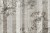 8ecaa37473a58b5dc92c218ab1fcd844
