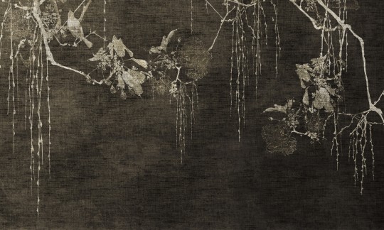 Dekorami Kyoto 4 - mural w gałęzie