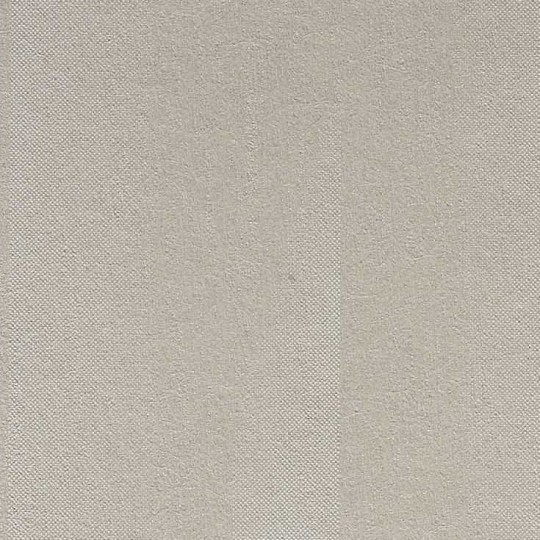 Tapeta Texdecor PRIVILEGE 90475012 rayure blanc irise
