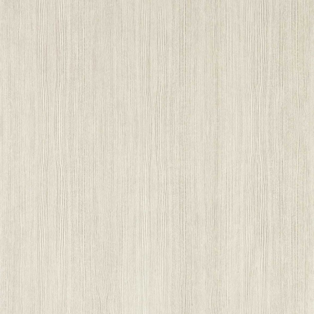 Harlequin 113209 Kasuri Wood Veneer Silver Birch - tapeta imitująca drewno