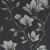 7851e14c90a12e0ab8a87fd834b56014