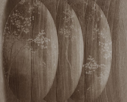 Wall & Deco WDAT2502 Contemporary 2025 Atmosfere – mural w gałęzie na tle imitującym drewno