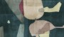1077b17ad12ff6c2e91d7b7ae05dff1a