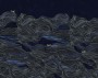 08b0c14137f437c97e54fffc31918e0f