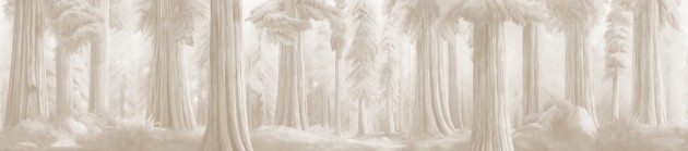 London Art BNV06 D Bon Voyage La Forêt Éternelle - mural w leśny krajobraz