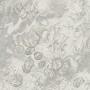 e0035a4dbf17e56d64f5df38c8a032c9