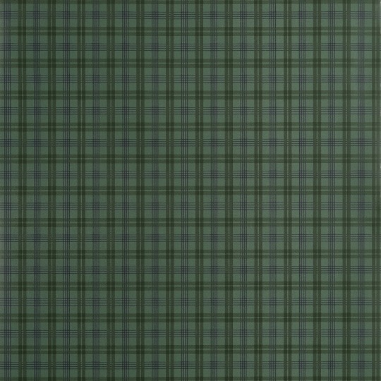 Thibaut T44052 Stripes & Checks Resource Huntley Plaid Green - tapeta imitująca tkaninę w drobną kratkę