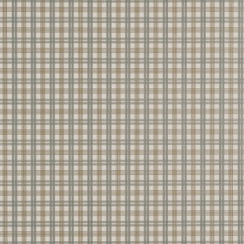 aef54c2bc812edafcdbc6d42f1faae17