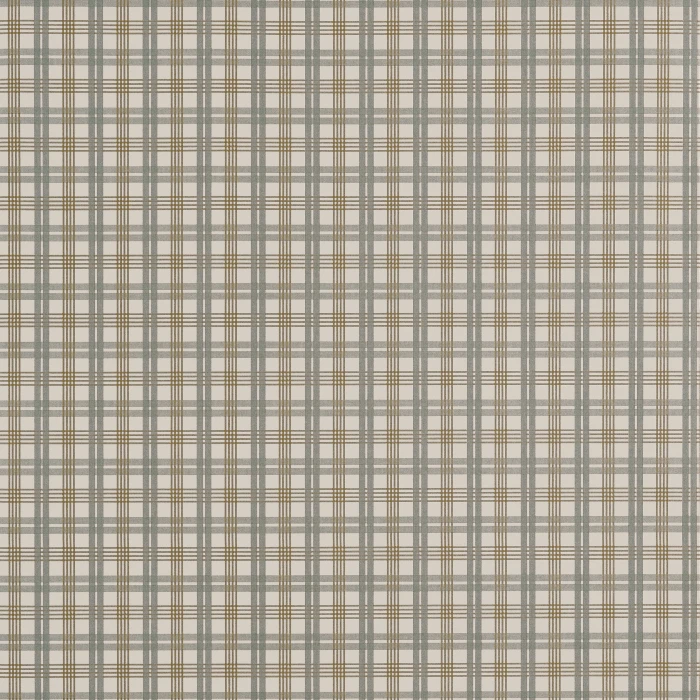 aef54c2bc812edafcdbc6d42f1faae17