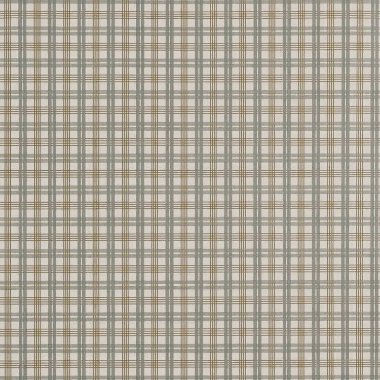 aef54c2bc812edafcdbc6d42f1faae17