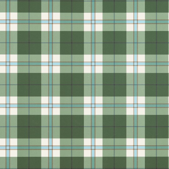 Thibaut T44071 Stripes & Checks Resource Douglas Plaid Green - tapeta w kratę