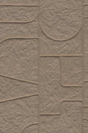 Arte 23913 Terra Arcane Oak - tapeta trójwymiarowa inspirowana tynkiem