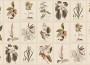 1ed23a8502bc98e352691b9e1bc900ed