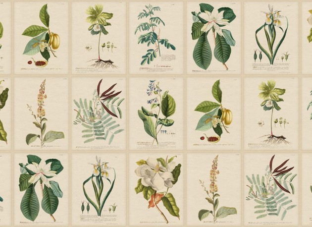 Sandberg S10598 Herbarium Flora Green – mural szkicownik z kwiatami
