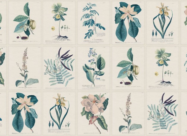 Sandberg S10589 Herbarium Flora Blue – mural szkicownik z kwiatami