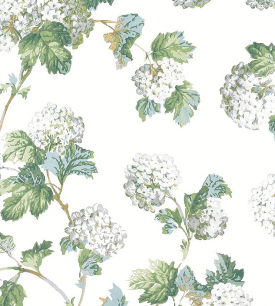Anna French AT57849 Bristol Sussex Hydrangea White and Green - tapeta w hortensje