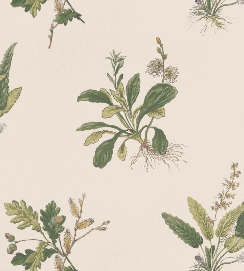 Anna French AT57853 Bristol Woodland Green on Natural - tapeta w akwarelowe rośliny