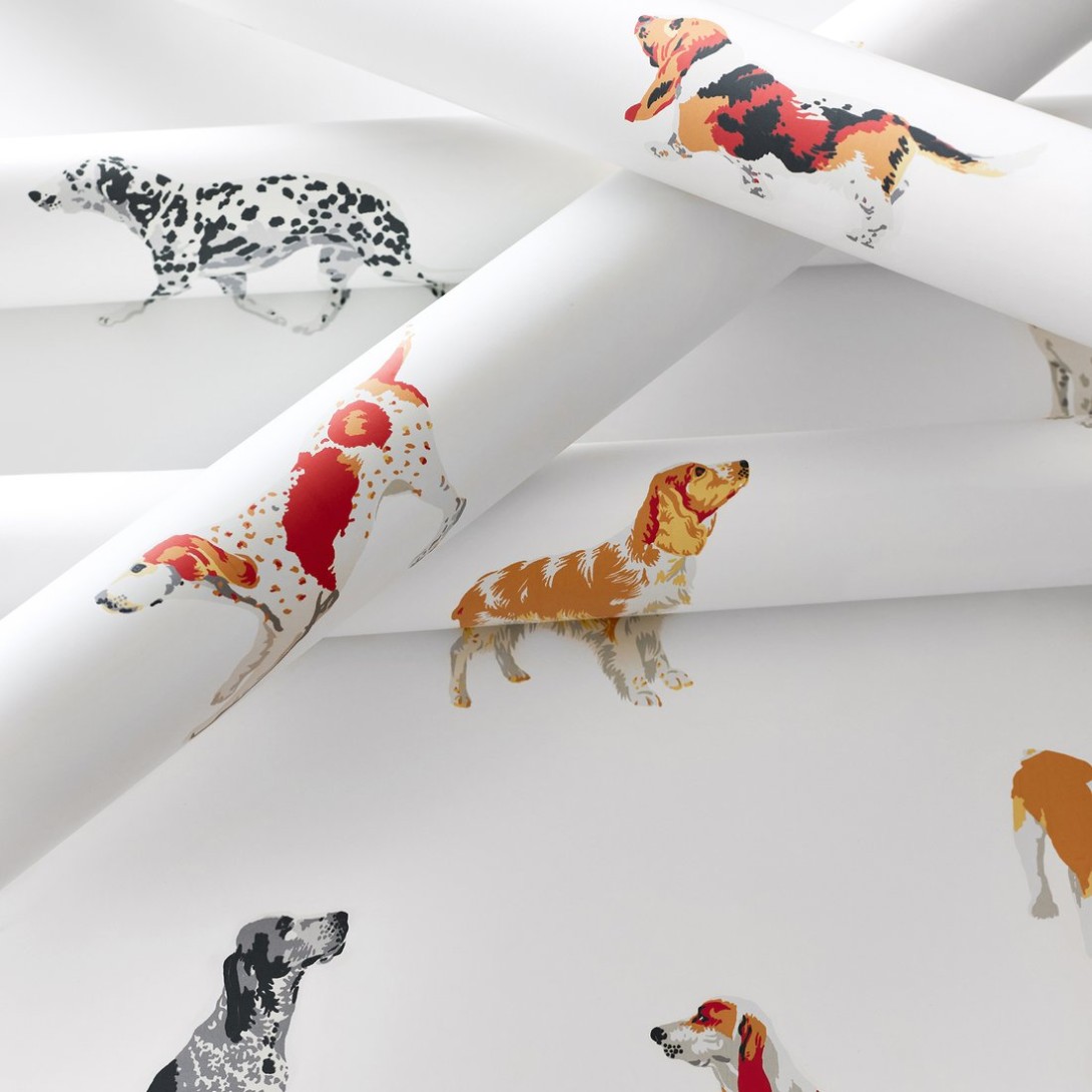 Anna French AT24600 Devon Buddy Multi - tapeta w psy