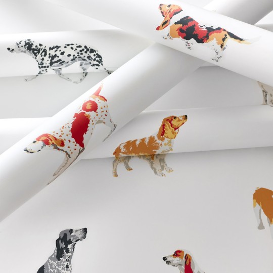 Anna French AT24603 Devon Buddy Robin's Egg - tapeta w psy