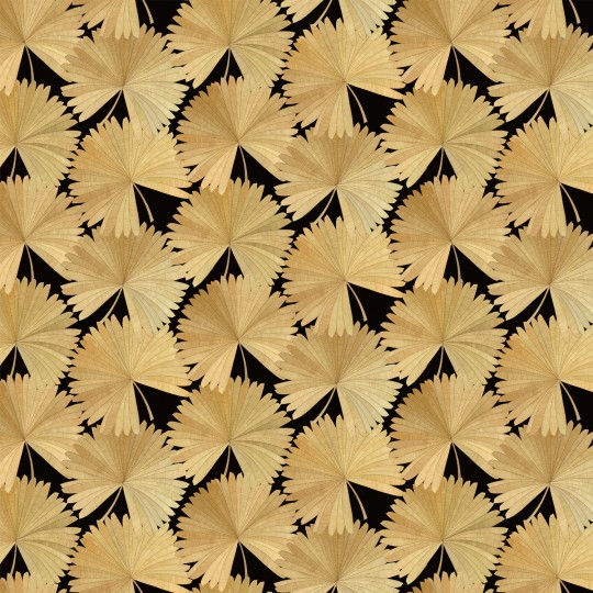 Linwood LW072/004 Bangkok Nights Noir - tapeta w liście palmowe