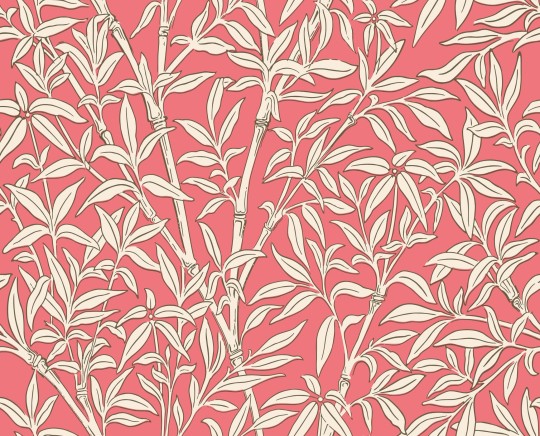 Cole & Son 127/1001 Classics Collection Vol. I Bamboo Forest Chalk on Rouge – tapeta w liście bambusa