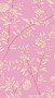 36c9c5190ee95977ab98cad4f8326485