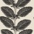 52f812b823ad241aaf7914b429a93b0e