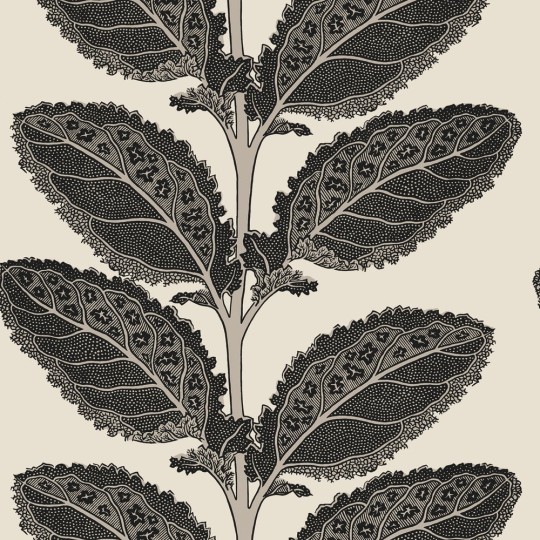 Thibaut T12038 Vista Lacinato Basalt Black - tapeta w liście